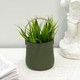 Миниатюра изображения товара Искусственное растение Bir Numara EVA5764