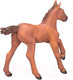 Миниатюра изображения товара Фигурка коллекционная Konik Арабский жеребенок / AMF1007