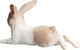 Миниатюра изображения товара Фигурка коллекционная Konik Кролик / AMF1045