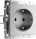 Миниатюра изображения товара Розетка Werkel W1171065 (серебряный матовый)