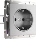 Миниатюра изображения товара Розетка Werkel W1171165 (серебряный матовый)