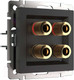 Миниатюра изображения товара Розетка Werkel W1185008 (черный матовый)