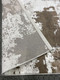 Миниатюра изображения товара Ковер Radjab Carpet Астра Овал 1647A / 11266RK (1.6x2.3, Brown/Beige)