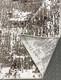 Миниатюра изображения товара Ковер Radjab Carpet Астра Прямоугольник 1644A / 11230RK (2x2.9, Brown/Beige)