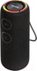 Миниатюра изображения товара Портативная колонка Aiwa PAS-H300 (черный)