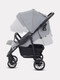 Миниатюра изображения товара Детская прогулочная коляска Rant Basic Vega 2024 / RA105 (серый)