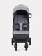 Миниатюра изображения товара Детская прогулочная коляска Rant Basic Vega 2024 / RA105 (серый)