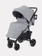 Миниатюра изображения товара Детская прогулочная коляска Rant Basic Vega 2024 / RA105 (серый)