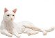 Миниатюра изображения товара Фигурка коллекционная Konik Кошка / AMF1092 (белый)
