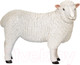 Миниатюра изображения товара Фигурка коллекционная Konik Овца ромни / AMF1117