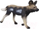 Миниатюра изображения товара Фигурка коллекционная Konik Гиеновидная собака / AMW2053