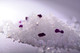 Миниатюра изображения товара Наполнитель для туалета Clean Cat Силикагелевый лаванда (3.8л)