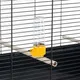 Миниатюра изображения товара Клетка для птиц Ferplast Piano 8 / 52065717