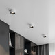 Миниатюра изображения товара Точечный светильник Elektrostandard Glam 25095/LED (белый/черный)