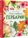 Миниатюра изображения товара Энциклопедия АСТ Мой первый гербарий, твердая обложка (Шрайер Кристин)