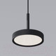 Миниатюра изображения товара Потолочный светильник Elektrostandard Plate 50260 LED (черный)