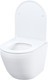 Миниатюра изображения товара Унитаз подвесной IDDIS Blanco Q BLQNDSEI25