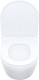 Миниатюра изображения товара Унитаз подвесной IDDIS Blanco Q BLQNDSEI25