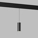 Миниатюра изображения товара Трековый светильник Elektrostandard Slim Magnetic Amend 12W 4200K 85519/01  (черный)