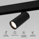 Миниатюра изображения товара Трековый светильник Elektrostandard Slim Magnetic Dim R01 6W 2700-6500K 85074/01 (черный)