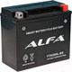 Миниатюра изображения товара Мотоаккумулятор ALFA battery YTX20HL-BS / EBX20HL-BS-P (18 А/ч)