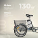 Миниатюра изображения товара Электровелосипед MyWay Trike 500 20 (15, графитовый, матовый)