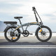 Миниатюра изображения товара Электровелосипед MyWay Fold 250 20 (15, графитовый)