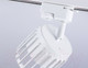 Миниатюра изображения товара Трековый светильник Ambrella GL5348 WH (белый)