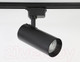 Миниатюра изображения товара Трековый светильник Ambrella GL5829 BK (черный)