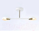 Миниатюра изображения товара Потолочный светильник Ambrella Traditional TR8222/2 WH/SB (белый/бронза)