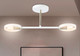 Миниатюра изображения товара Потолочный светильник Ambrella Traditional TR8222/2 WH/SB (белый/бронза)