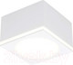 Точечный светильник Ambrella TN266 WH (белый) — фото 6