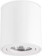 Миниатюра изображения товара Точечный светильник Ambrella TN22701 WH (белый)