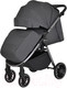 Миниатюра изображения товара Детская прогулочная коляска Pituso Ruta / BD206 (темно-серый)