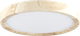 Миниатюра изображения товара Потолочный светильник Citilux Бейсик CL738122N