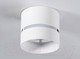 Миниатюра изображения товара Точечный светильник Ambrella Techno Spot TN71050 WH (белый)
