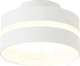Миниатюра изображения товара Точечный светильник Ambrella TN5419 SWH/FR (белый песок/белый матовый)