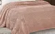 Миниатюра изображения товара Плед Alleri Велсофт Jacquard Premium 1.5сп / ПВЖ-062