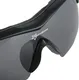 Миниатюра изображения товара Очки солнцезащитные RockBros 10037 (черный/серый)