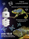 Миниатюра изображения товара Лампа для террариума Lucky Herp Reptile UVB Compact Fluorescent Lamp 13W UVB 10.0 / 004