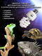 Миниатюра изображения товара Лампа для террариума Lucky Herp Reptile UVB Compact Fluorescent Lamp 13W UVB 15.0 / 001