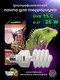 Миниатюра изображения товара Лампа для террариума Lucky Herp Reptile UVB Compact Fluorescent Lamp 26W UVB 15.0 / 007