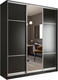Миниатюра изображения товара Шкаф-купе Евва 203 VS.02 / АЭП ШК.3.02 (венге/хром)