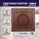 Миниатюра изображения товара Диммер INTRO 1-401-10 / Б0030092 (венге)