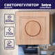 Миниатюра изображения товара Диммер INTRO 1-401-11 / Б0030093 (сосна)