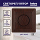 Миниатюра изображения товара Диммер INTRO Solo 4-401-10 / Б0053711 (венге)