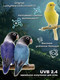 Миниатюра изображения товара Лампа для птиц Lucky Herp Bird UVB Lamp 20W UVB 2.4 / 002