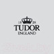 Миниатюра изображения товара Тарелка столовая глубокая Tudor England TU3586