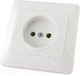 Миниатюра изображения товара Розетка TDM Ильмень SQ1823-0009 (белый)