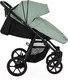 Миниатюра изображения товара Детская универсальная коляска Pituso Tossa 2 в 1 / TS/25/2 (кожа/Sage)